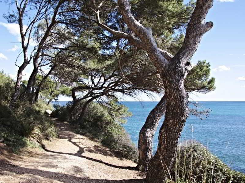 Cap Vermell Beach Hotel Canyamel  Exteriér fotografie